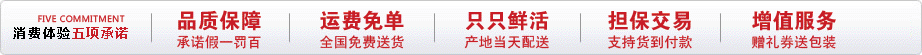 湖中明珠大闸蟹,团购大闸蟹,阳澄湖大闸蟹团购,阳澄湖大闸蟹礼券,苏州阳澄湖大闸蟹